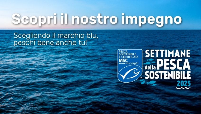 <br><br><br><br><br>